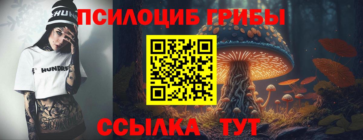 Галлюциногенные грибы прущие грибы  Вход с VPN  Клин  Псилоцибиновые грибы прущие грибы 